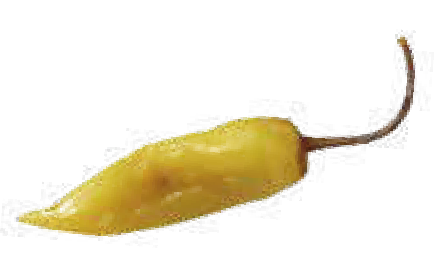 AJI EN <br> ESCABECHE