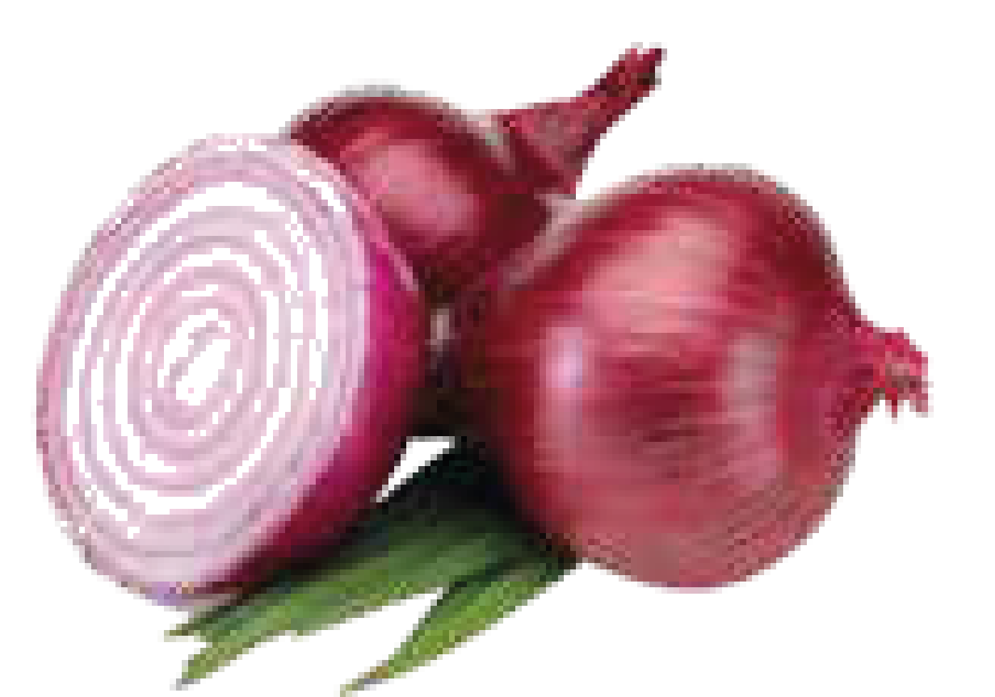 CEBOLLA MORADA