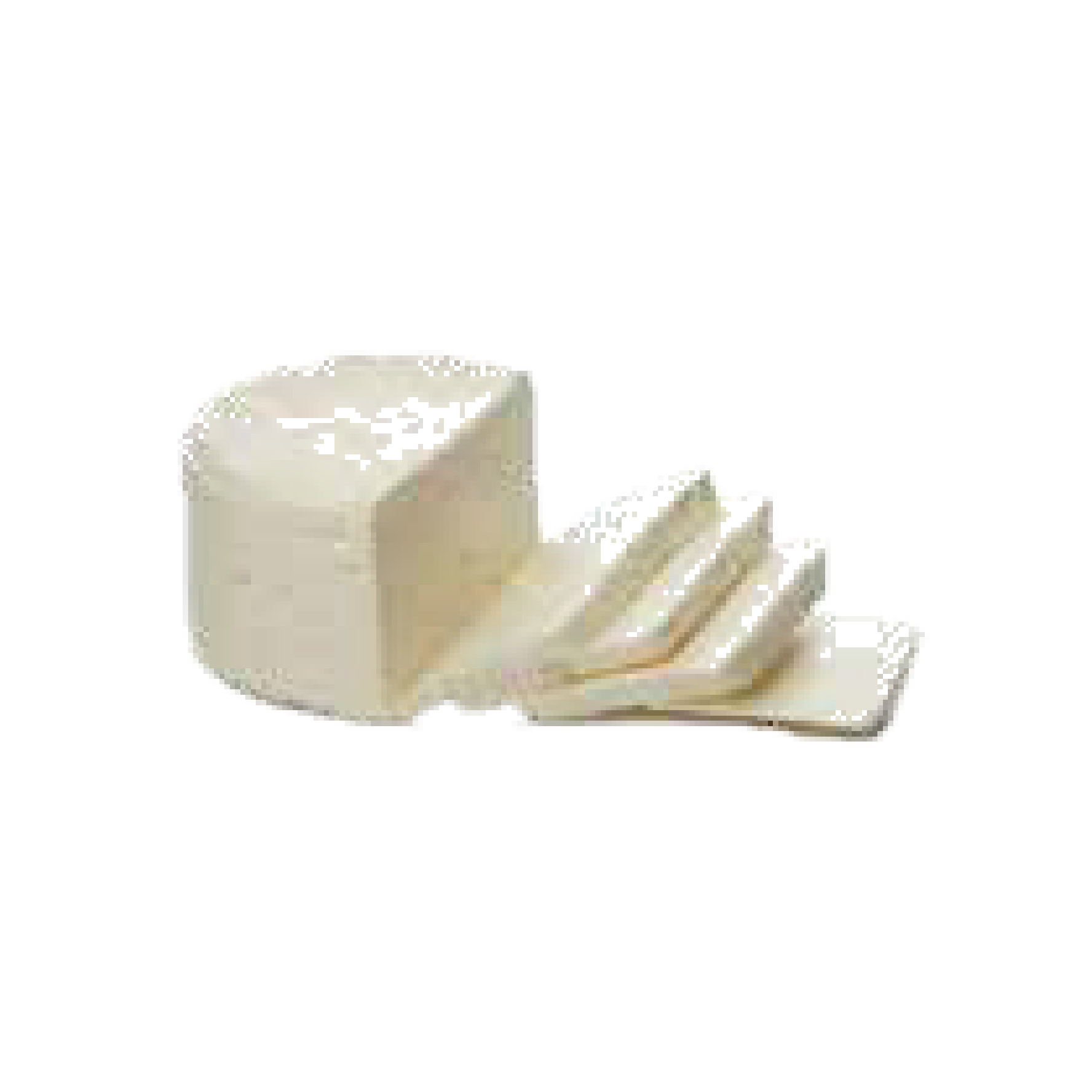 QUESO VEGANO