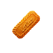 GALLETA CARAMELIZADA
