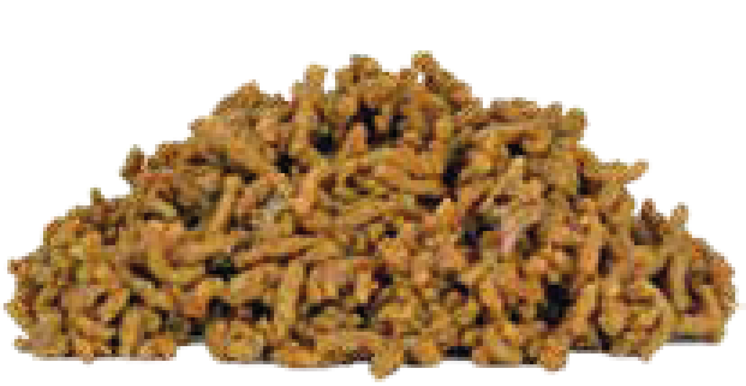 CARNE MOLIDA