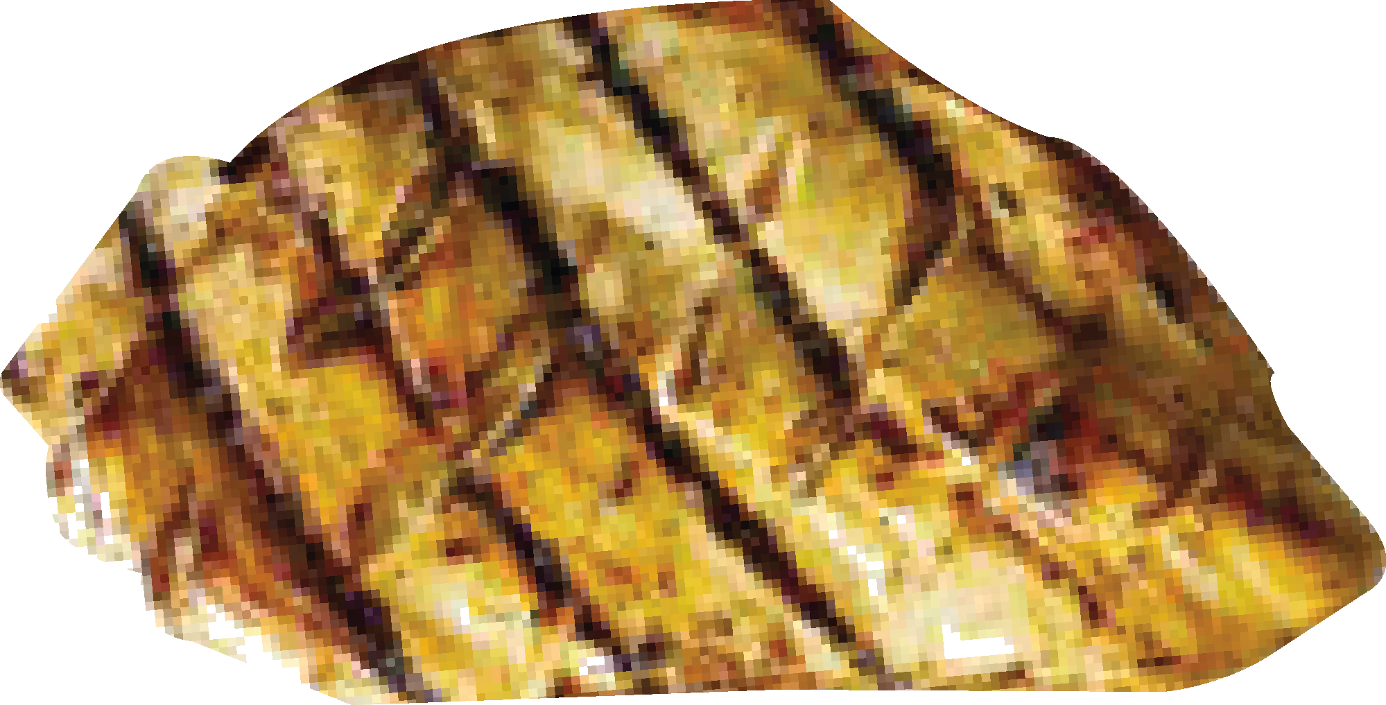 POLLO