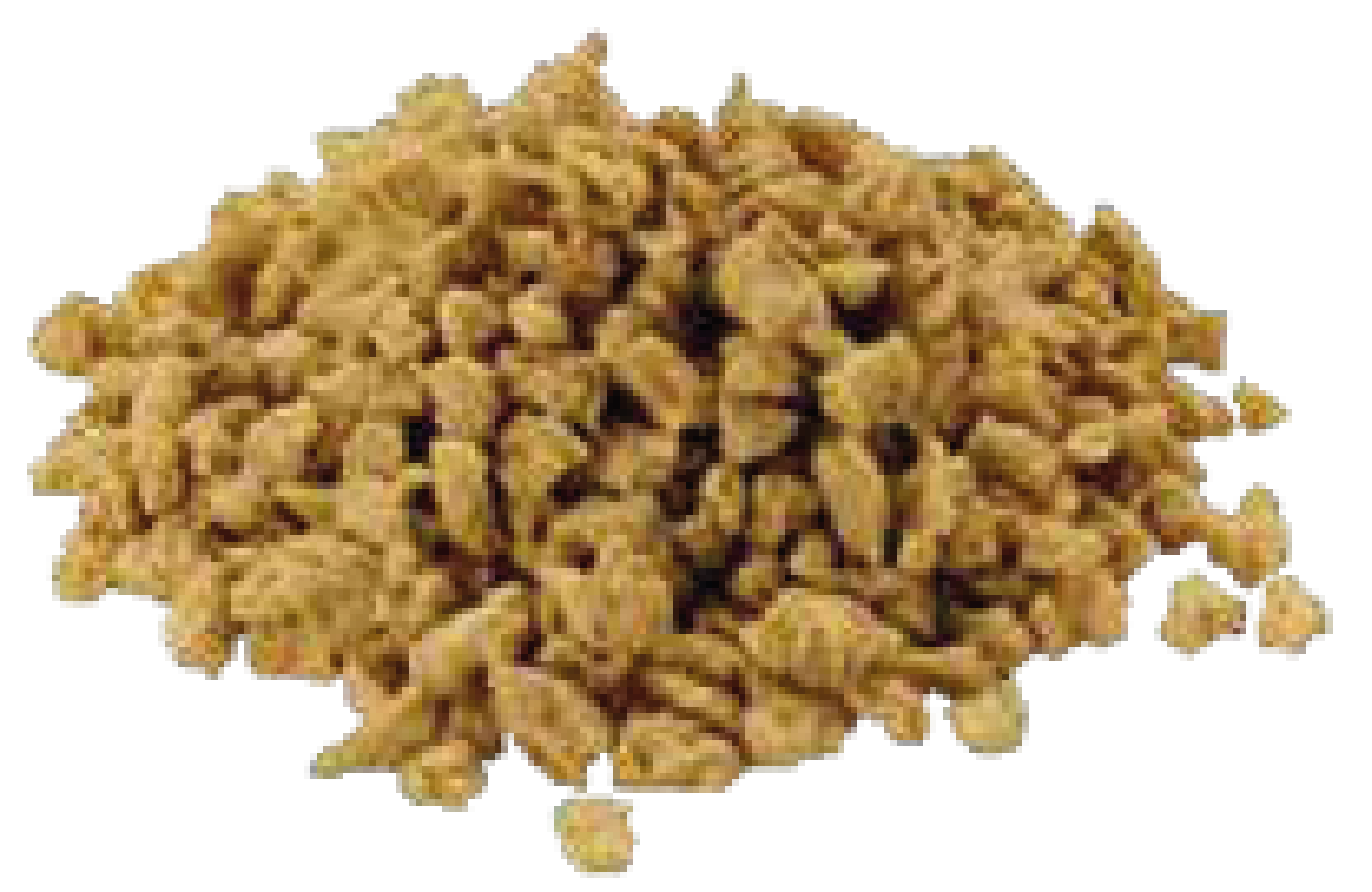 SOYA